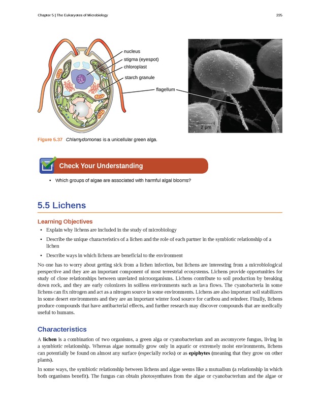 Microbiology - Front Matter 245