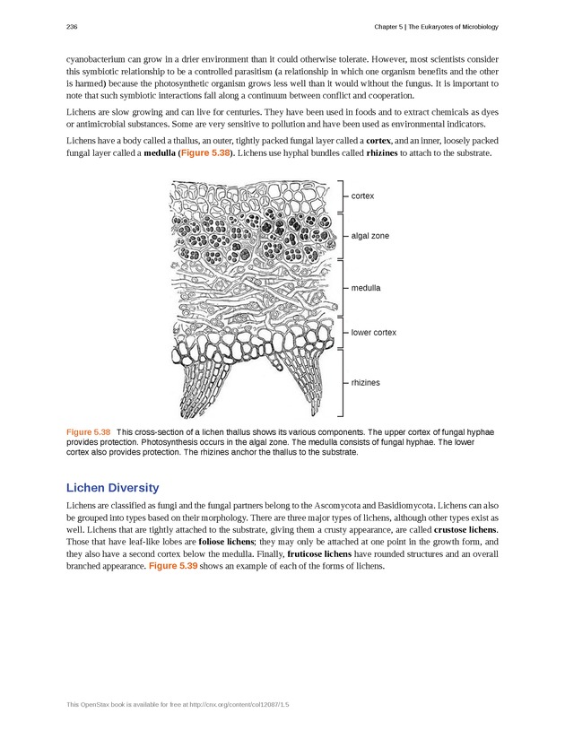Microbiology - Front Matter 246
