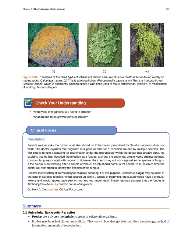 Microbiology - Front Matter 247