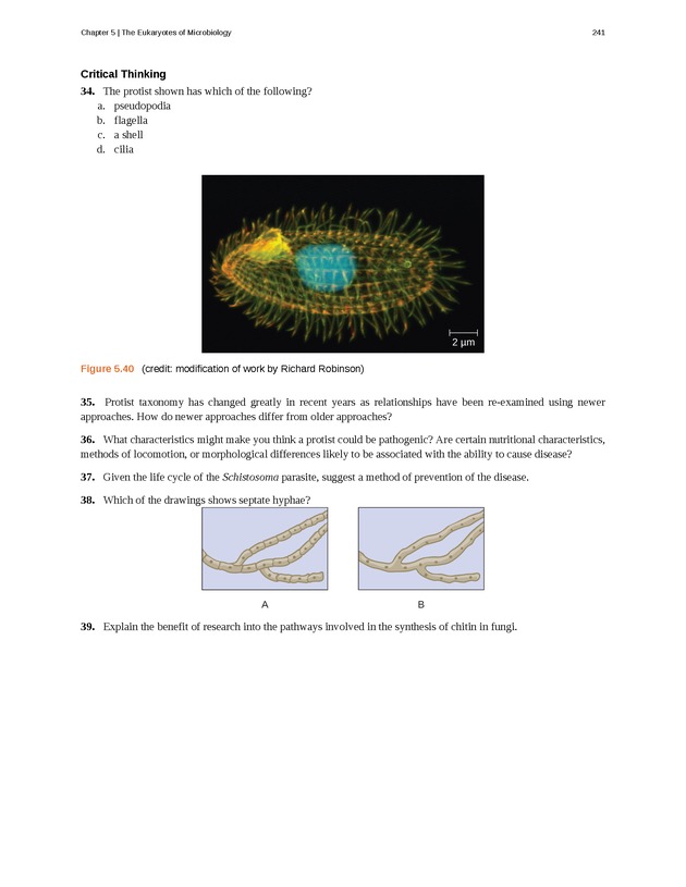 Microbiology - Front Matter 251