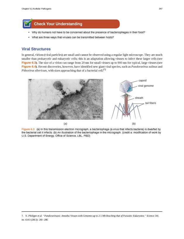 Microbiology - Front Matter 257