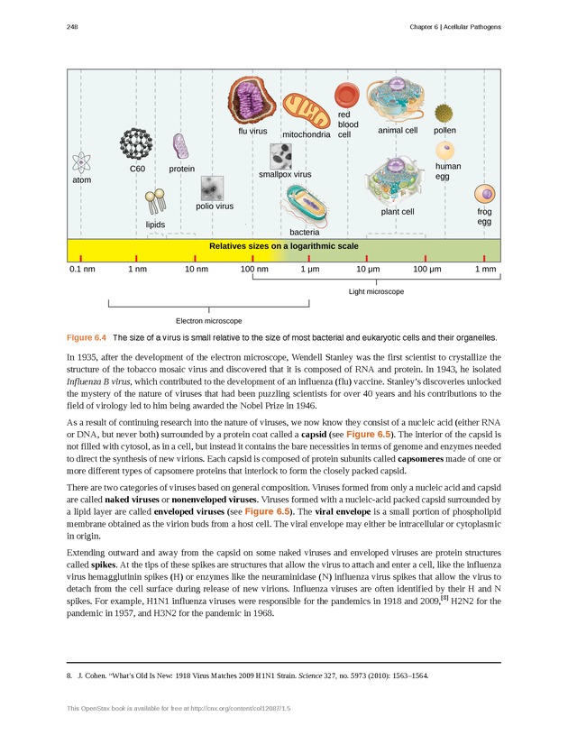 Microbiology - Front Matter 258