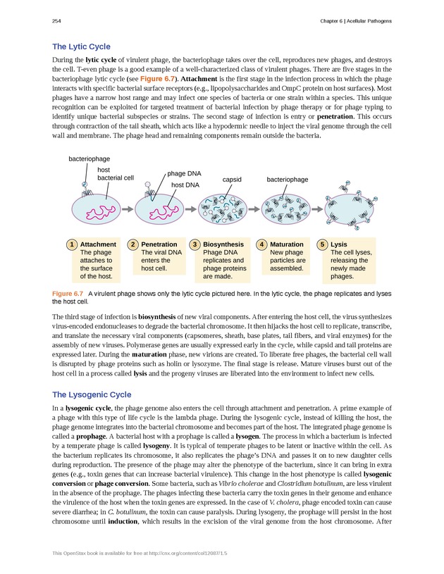 Microbiology - Front Matter 264