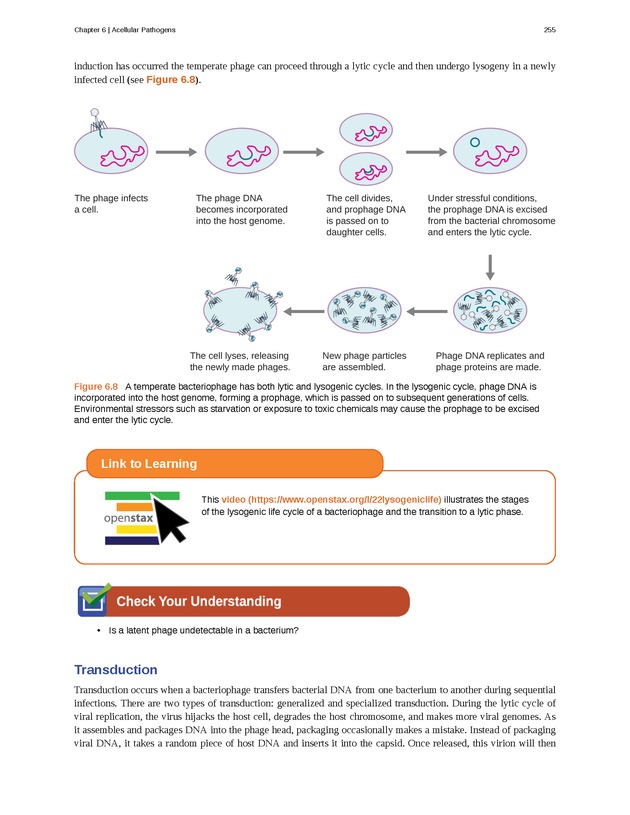 Microbiology - Front Matter 265