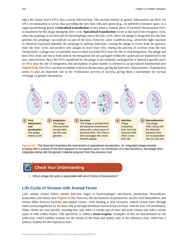 Microbiology - Front Matter 266