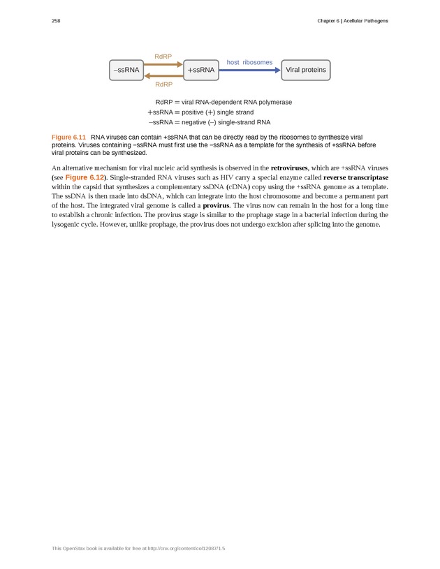 Microbiology - Front Matter 268