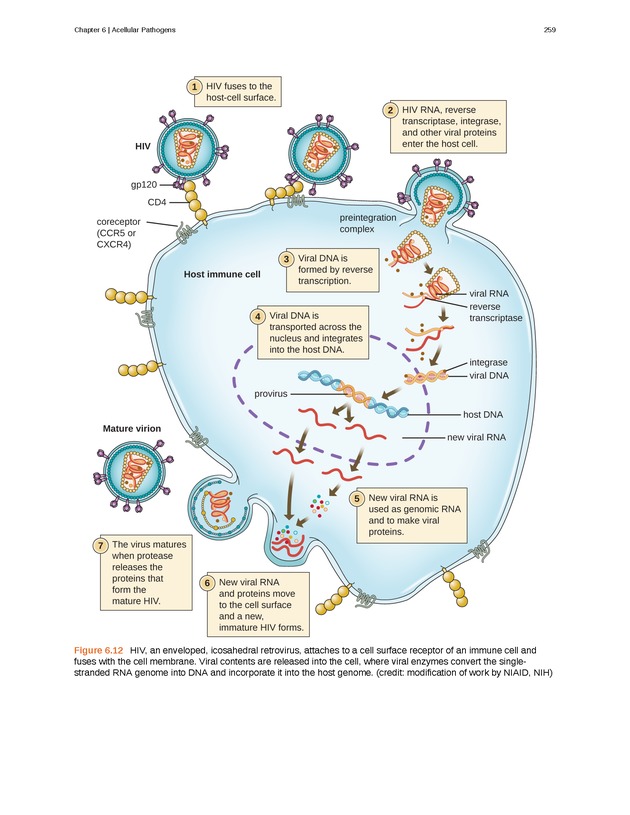 Microbiology - Front Matter 269