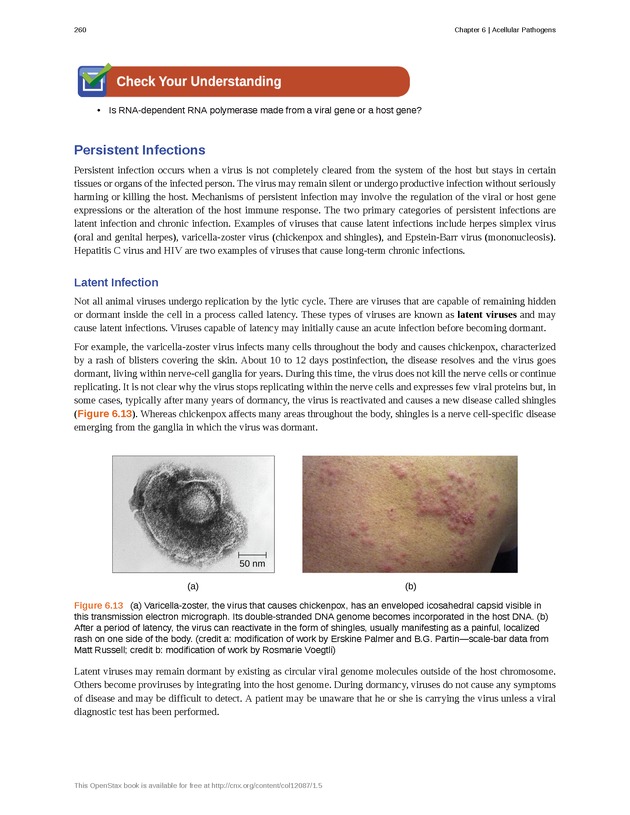 Microbiology - Front Matter 270