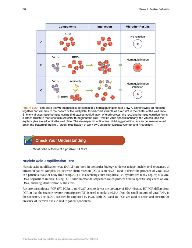 Microbiology - Front Matter 282
