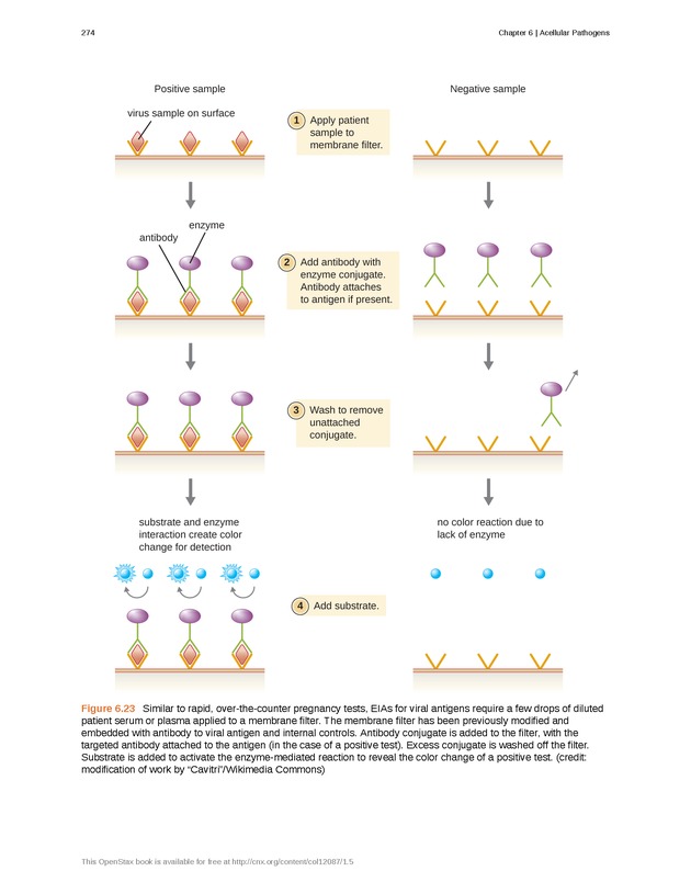 Microbiology - Front Matter 284