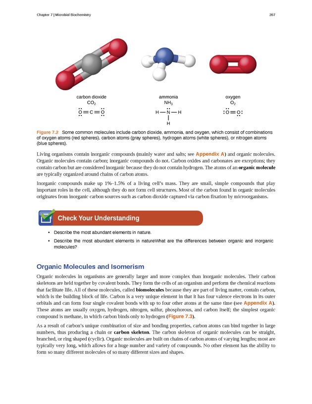 Microbiology - Front Matter 297