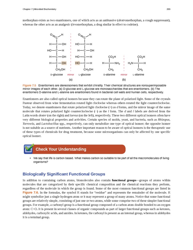 Microbiology - Front Matter 299