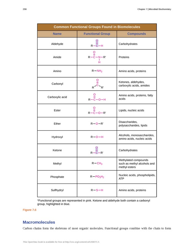 Microbiology - Front Matter 300