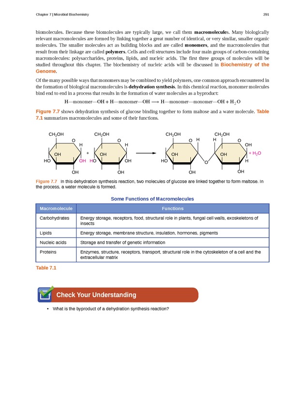 Microbiology - Front Matter 301