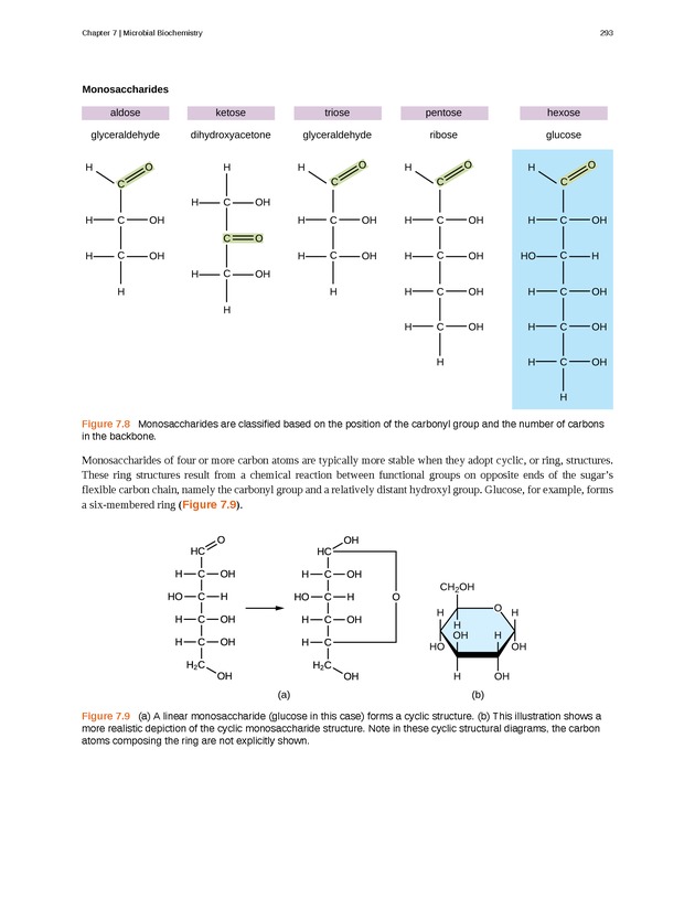 Microbiology - Front Matter 303