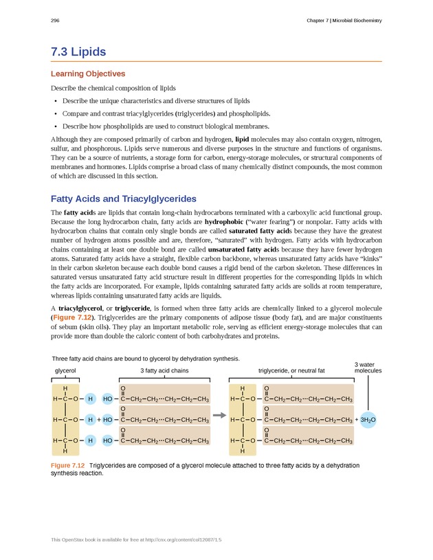 Microbiology - Front Matter 306
