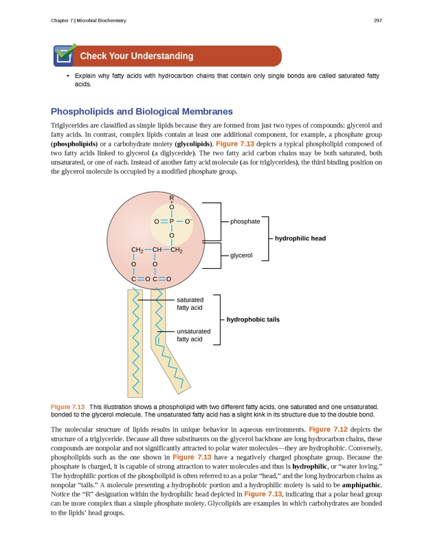 Microbiology - Front Matter 307