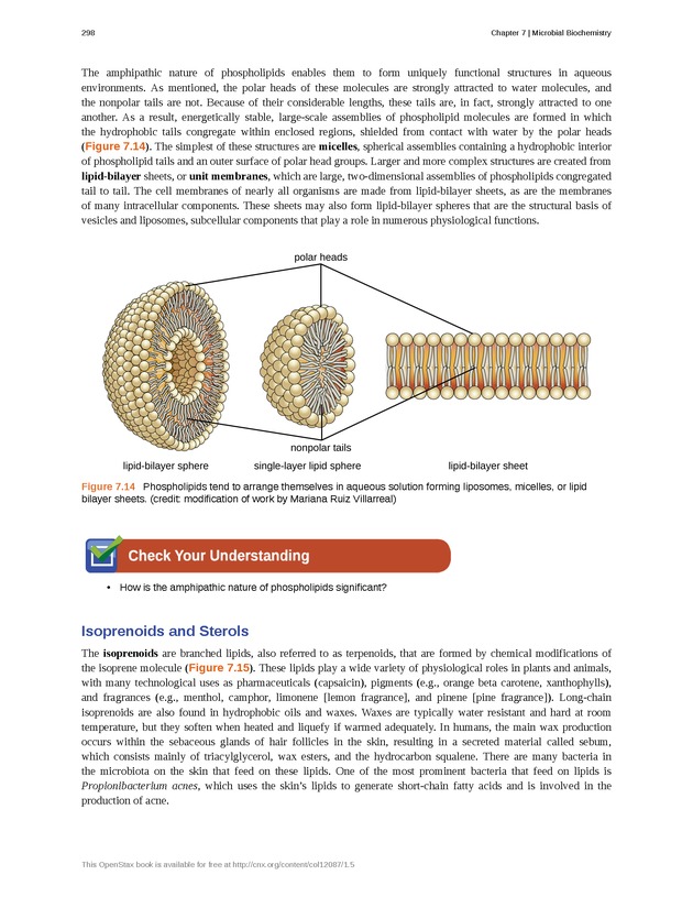 Microbiology - Front Matter 308