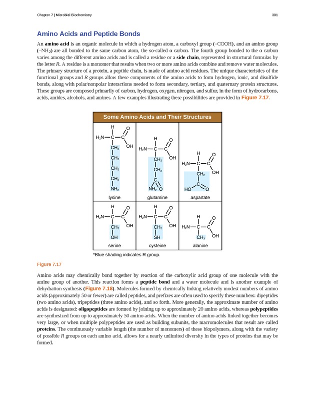 Microbiology - Front Matter 311