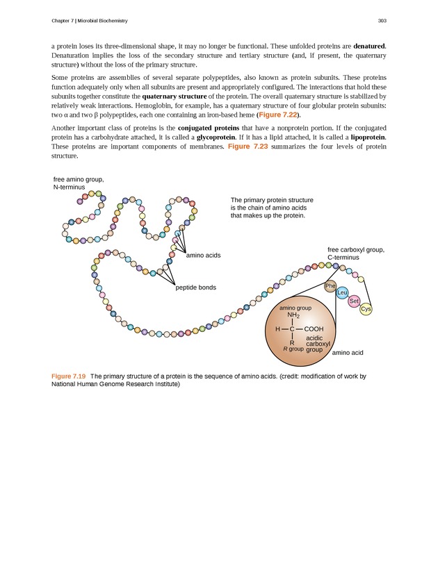 Microbiology - Front Matter 313