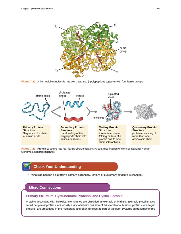 Microbiology - Front Matter 315