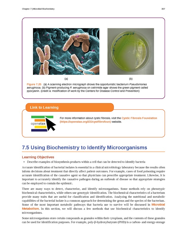 Microbiology - Front Matter 317