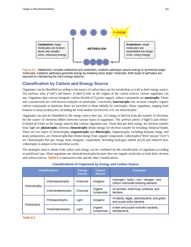 Microbiology - Front Matter 329