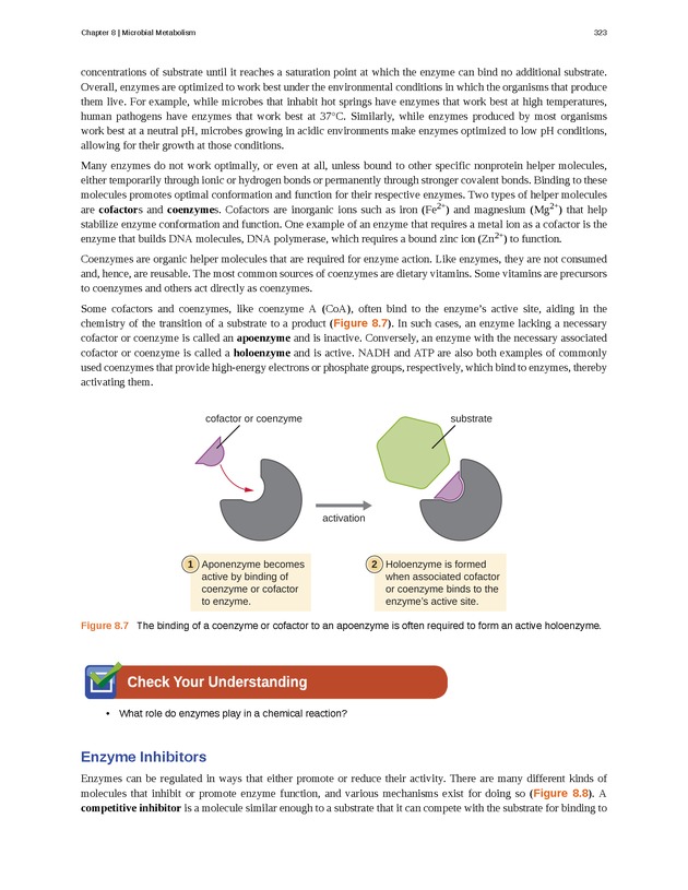 Microbiology - Front Matter 333