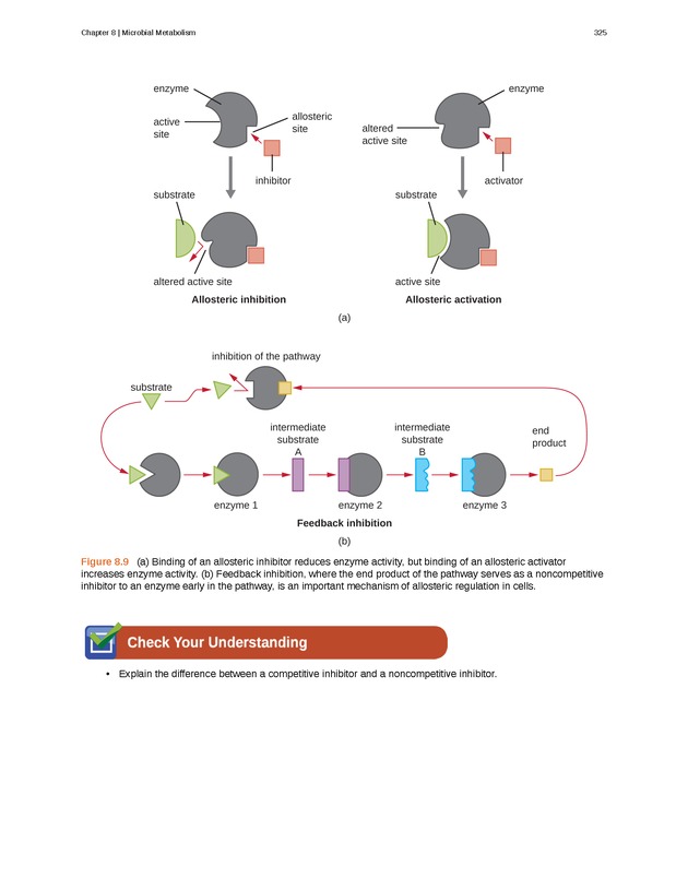Microbiology - Front Matter 335