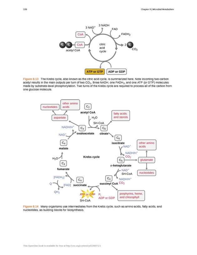 Microbiology - Front Matter 340