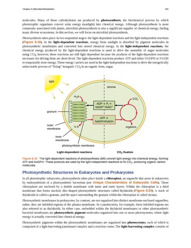 Microbiology - Front Matter 351