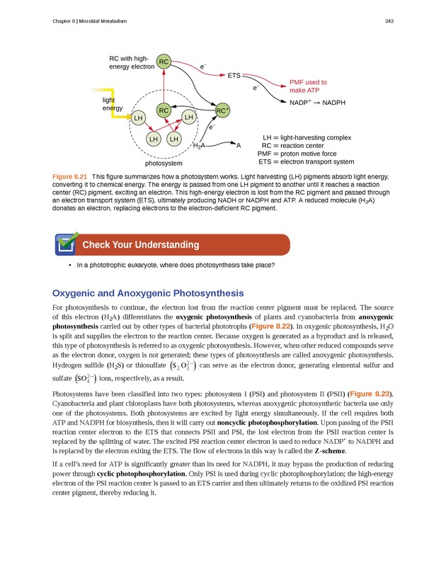 Microbiology - Front Matter 353