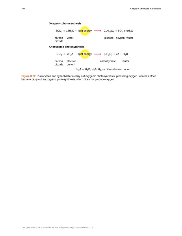 Microbiology - Front Matter 354