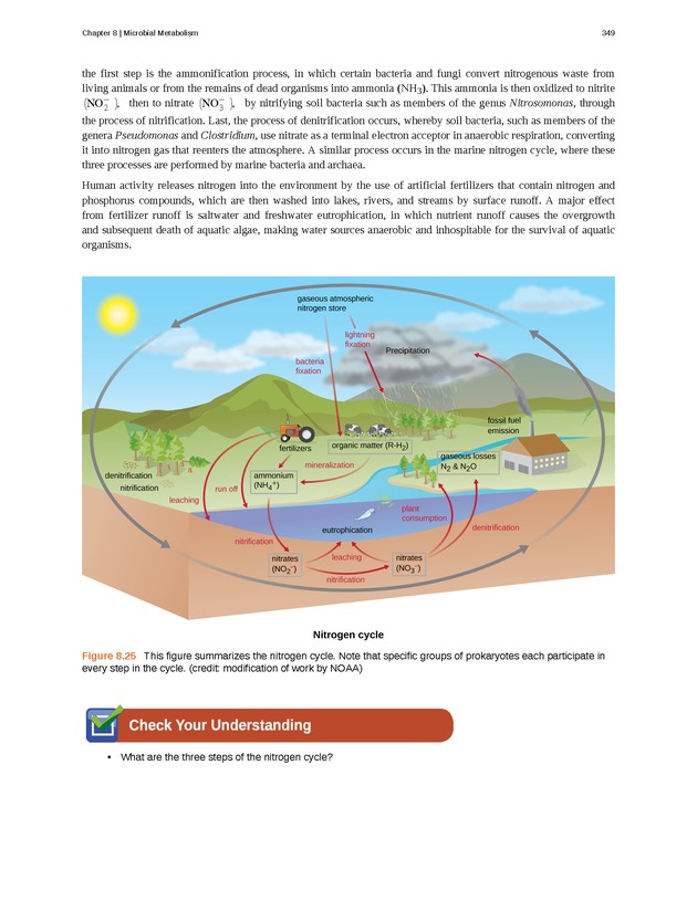 Microbiology - Front Matter 359