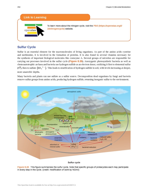 Microbiology - Front Matter 360