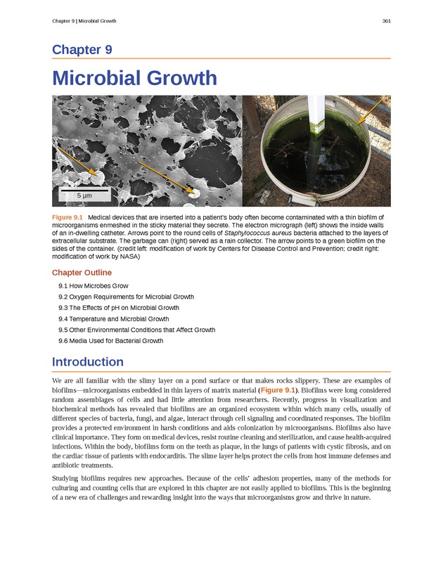 Microbiology - Front Matter 371
