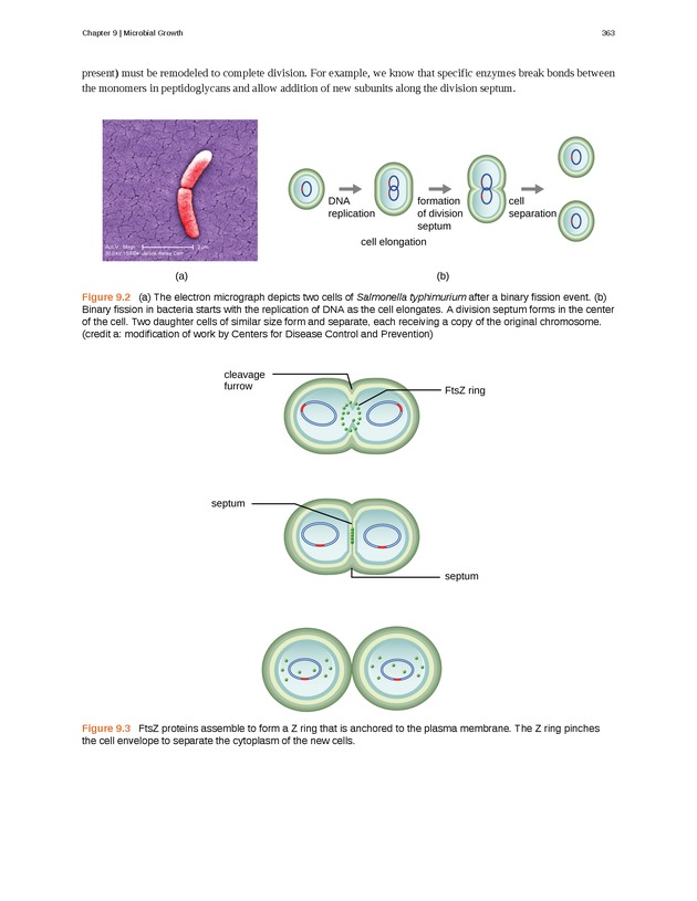 Microbiology - Front Matter 373