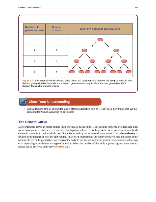 Microbiology - Front Matter 375