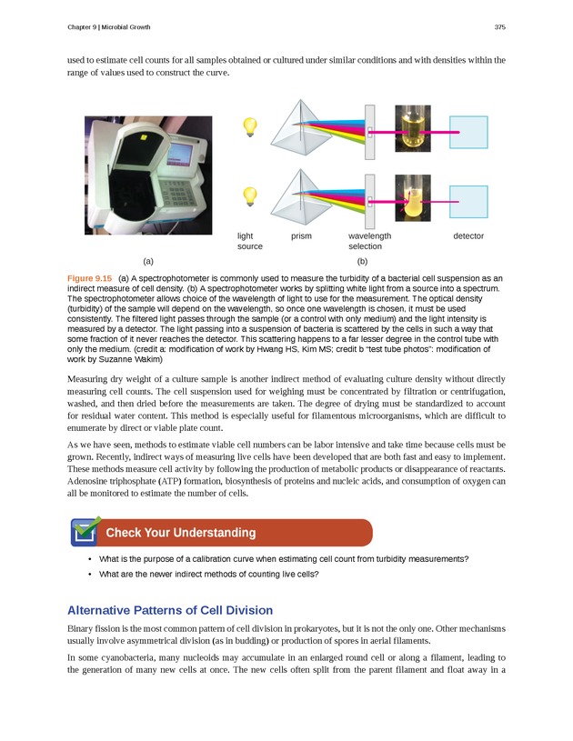 Microbiology - Front Matter 385