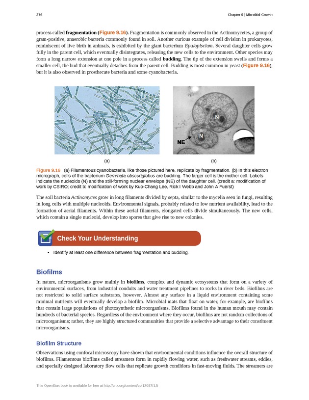 Microbiology - Front Matter 386