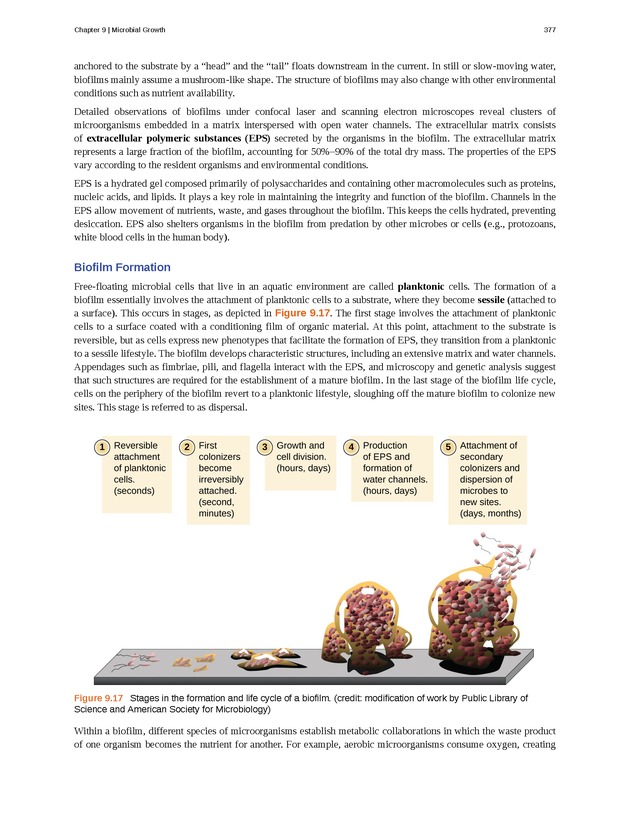 Microbiology - Front Matter 387