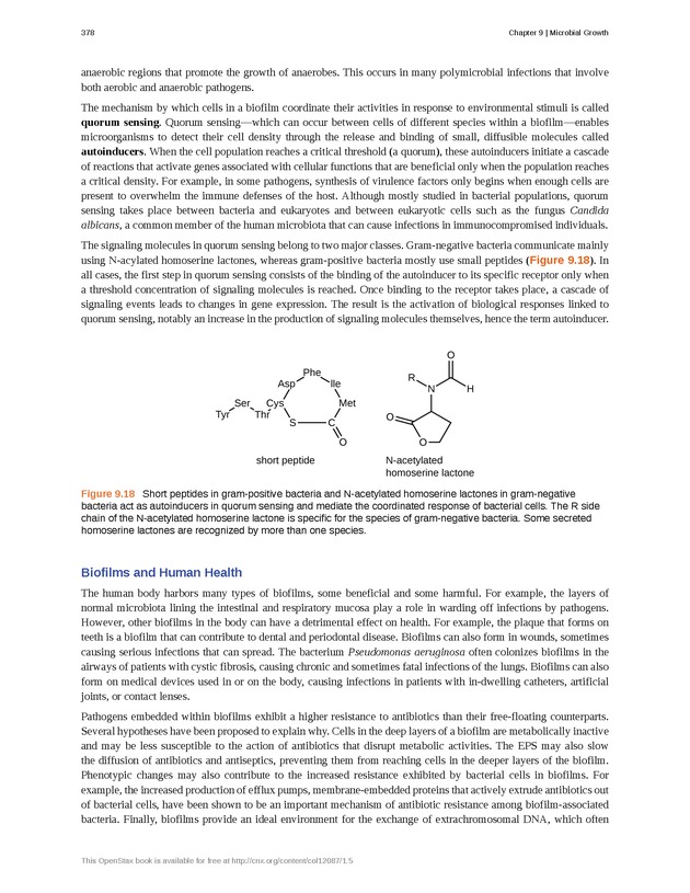 Microbiology - Front Matter 388