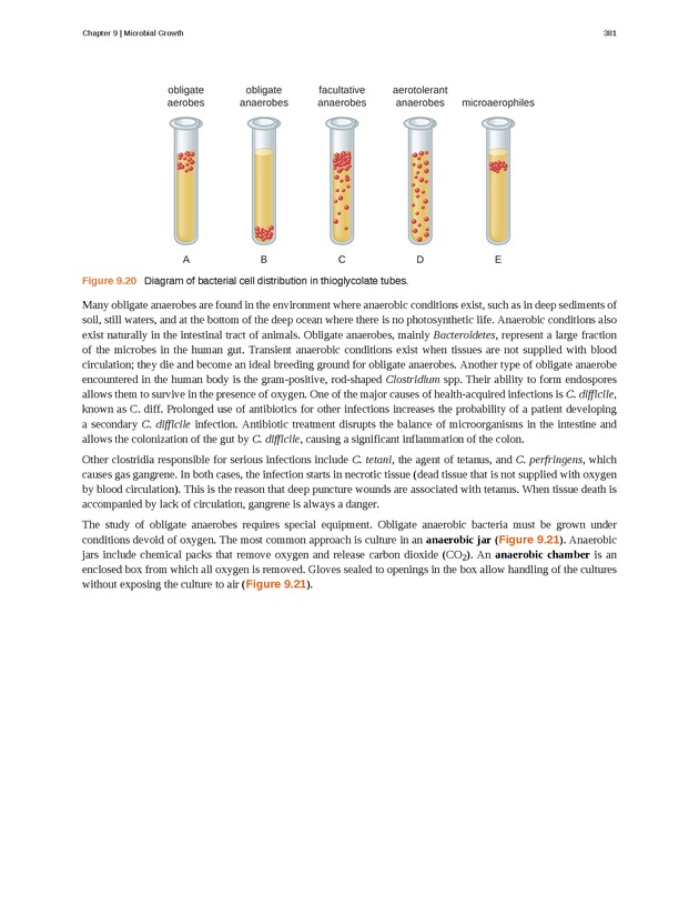 Microbiology - Front Matter 391