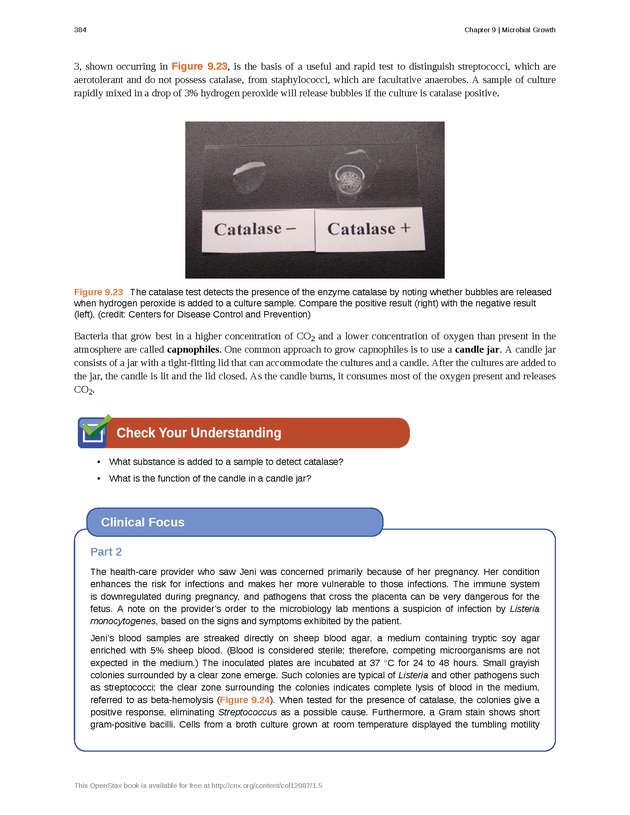 Microbiology - Front Matter 394