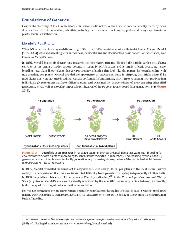 Microbiology - Front Matter 417