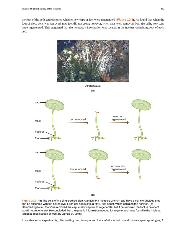Microbiology - Front Matter 419