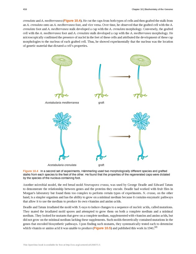 Microbiology - Front Matter 420