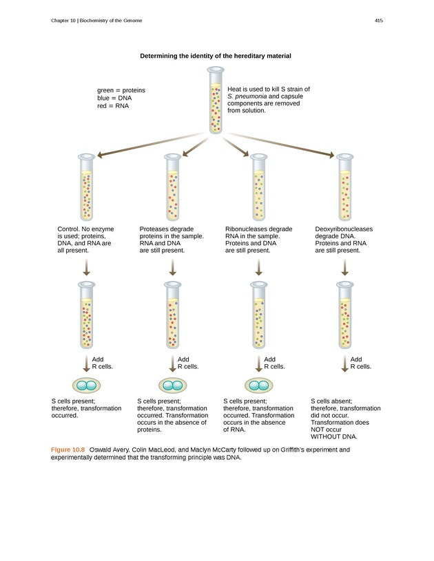 Microbiology - Front Matter 425