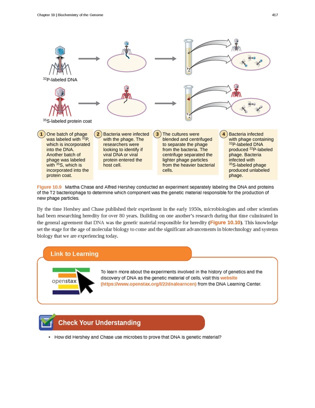 Microbiology - Front Matter 427