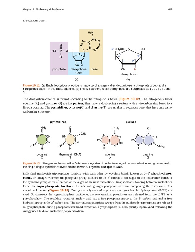 Microbiology - Front Matter 429